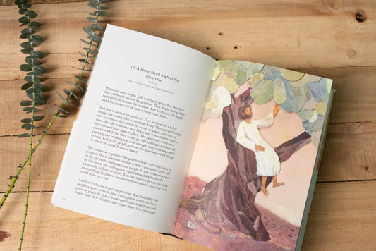 The Book of Mormon Storybook V1